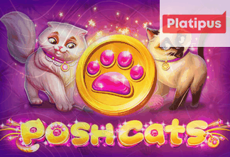 Posh Cats